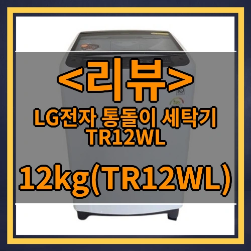 LG전자 통돌이 세탁기 TR12WL (12kg(TR12WL))