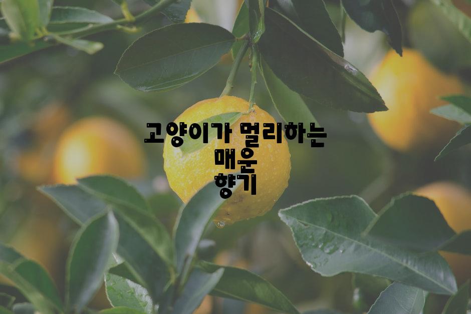 고양이가 멀리하는 매운 향기
