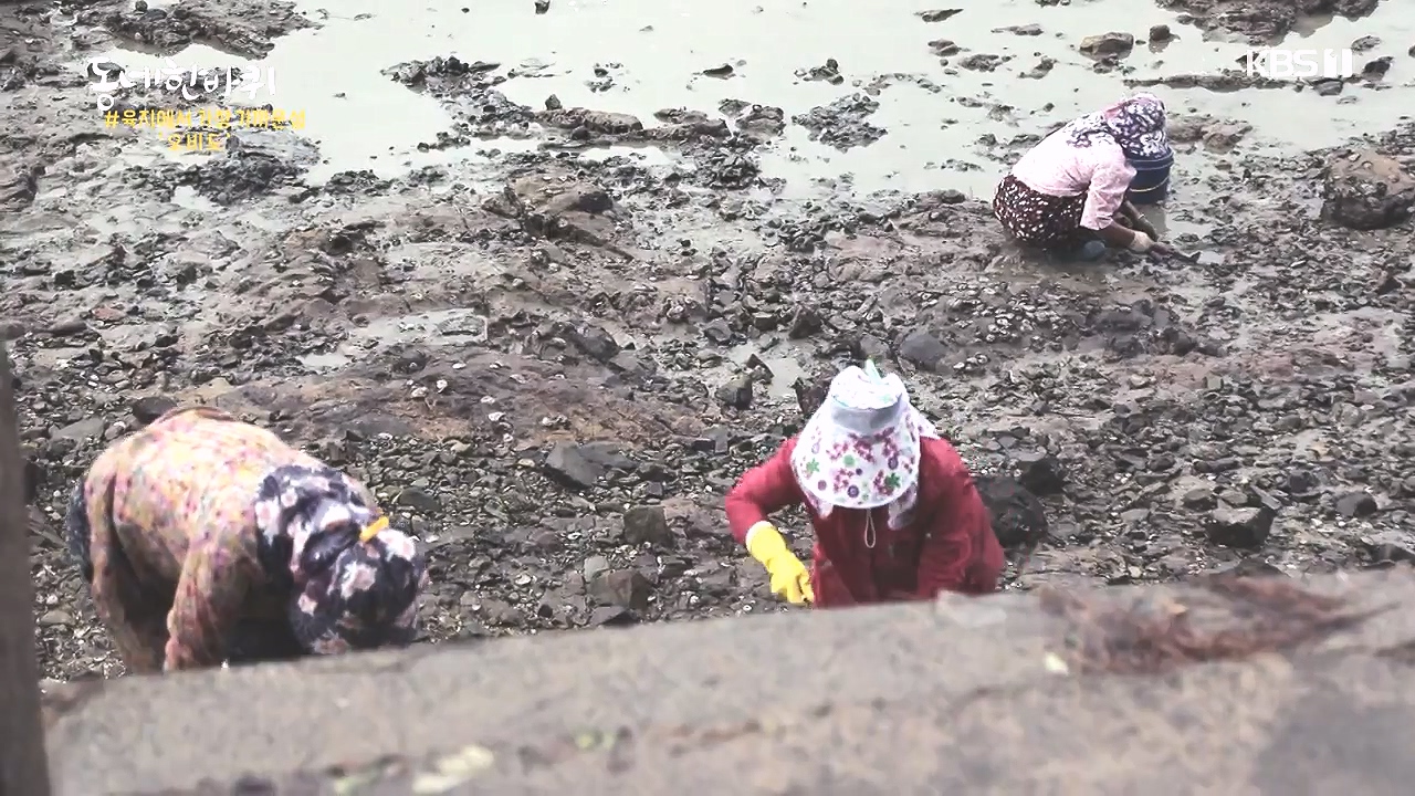 동네 한 바퀴.E243.231015p-NEXT.mp4_20231015_183706.525.jpg