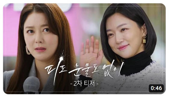 피도 눈물도 없이 등장인물 출연진 인물관계도 기본정보