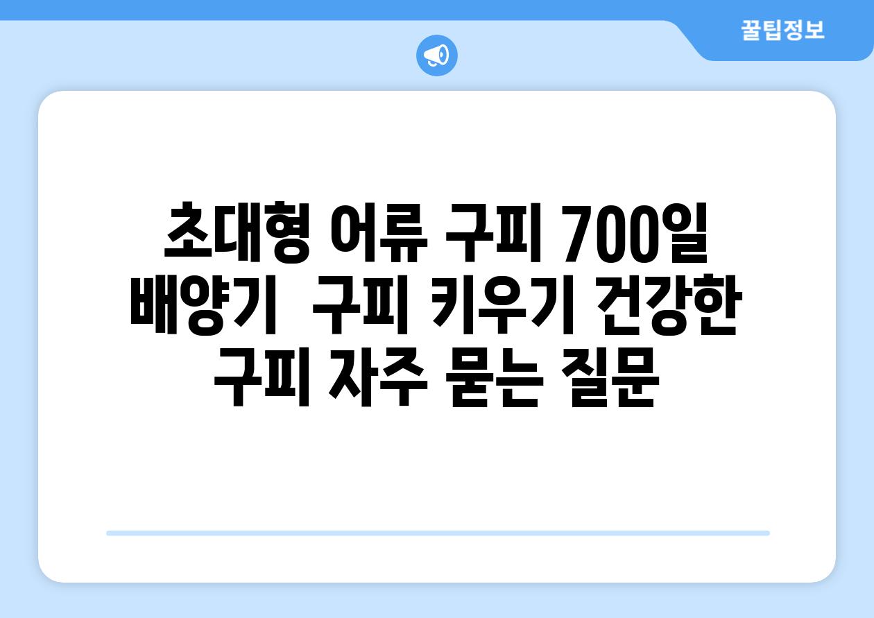 초대형 어류 구피| 700일 배양기 | 구피 키우기, 건강한 구피