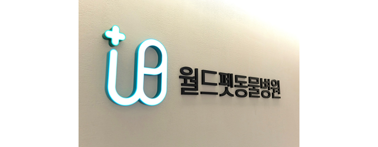 부천 원미구 동물병원