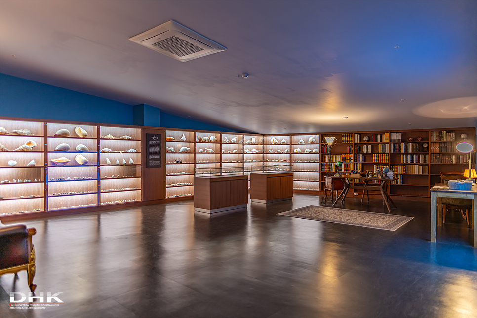 국내 1박2일 여름 여행 추천1박2일 서해 섬여행 신안 가볼만한곳 자은도 1004뮤지엄파크 세계조개박물관, 해바라기 21