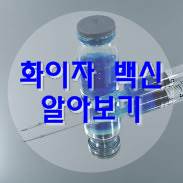  화이자 백신 알아보기