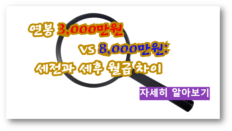 2024년 연봉 3,000만원 vs 8,000만원: 세전과 세후 월급 차이 알아보기