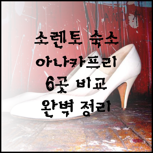 소렌토와 아나카프리 숙소 6곳 비교분
