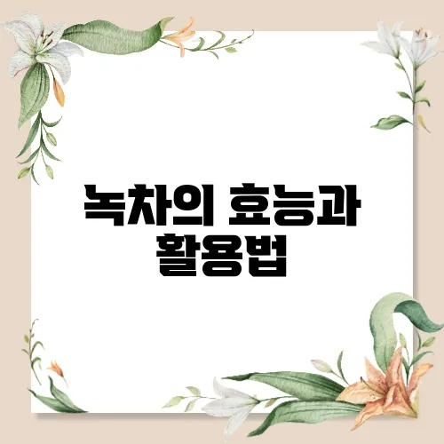 녹차의 효능과 활용법