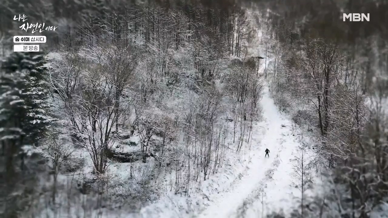 나는 자연인이다.E596.240307p-NEXT.mp4_20240307_195645.629.jpg