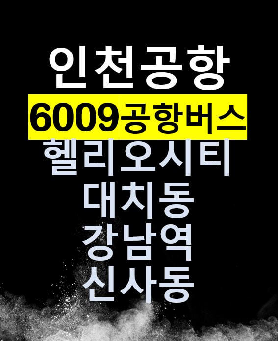 6009 인천공항버스 / 가락동,헬리오시티,대치동,양재역,강남역,신사역,논현역 / 노선도, 운행시간표, 요금, 정류장