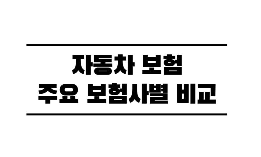 자동차보험 비교