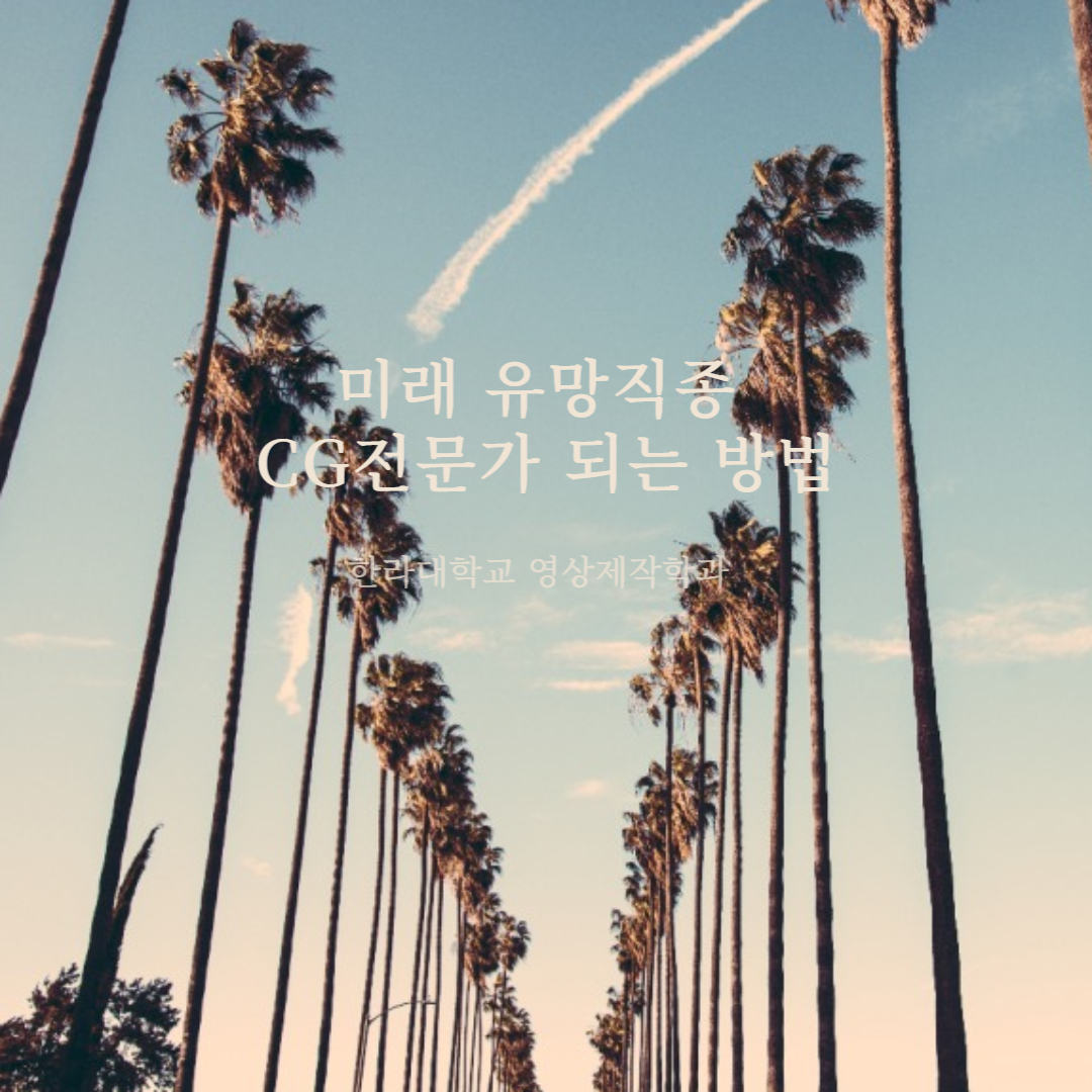 CG전문가-되는방법