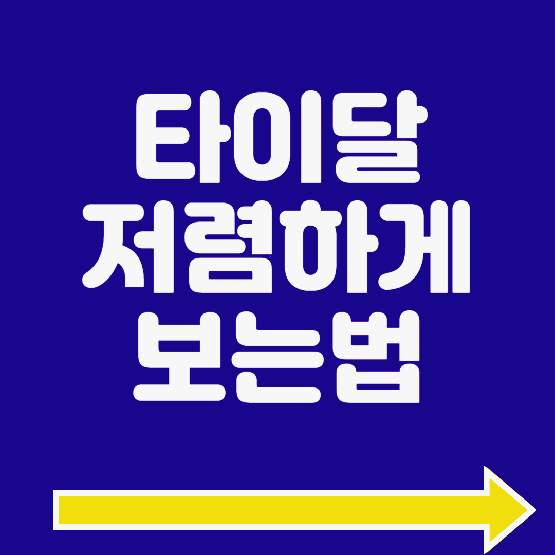 타이달 나이지리아 우회 막힘 / 간단 해결법