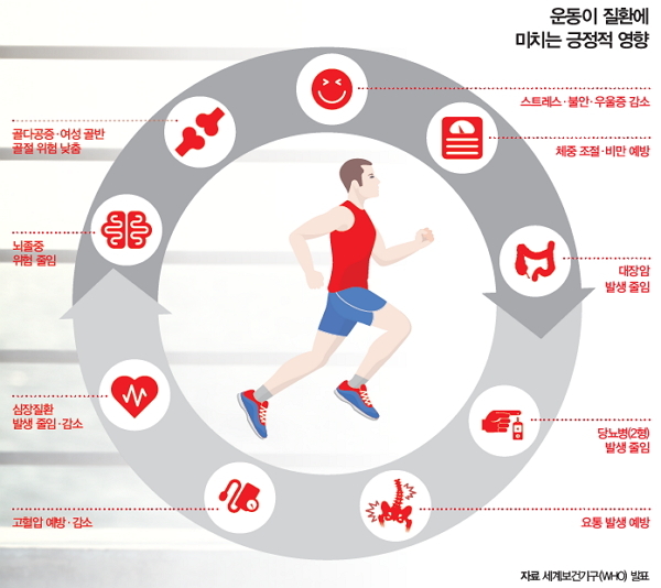 운동이 건강에 미치는 영향