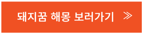돼지 꿈 해몽 보러가기