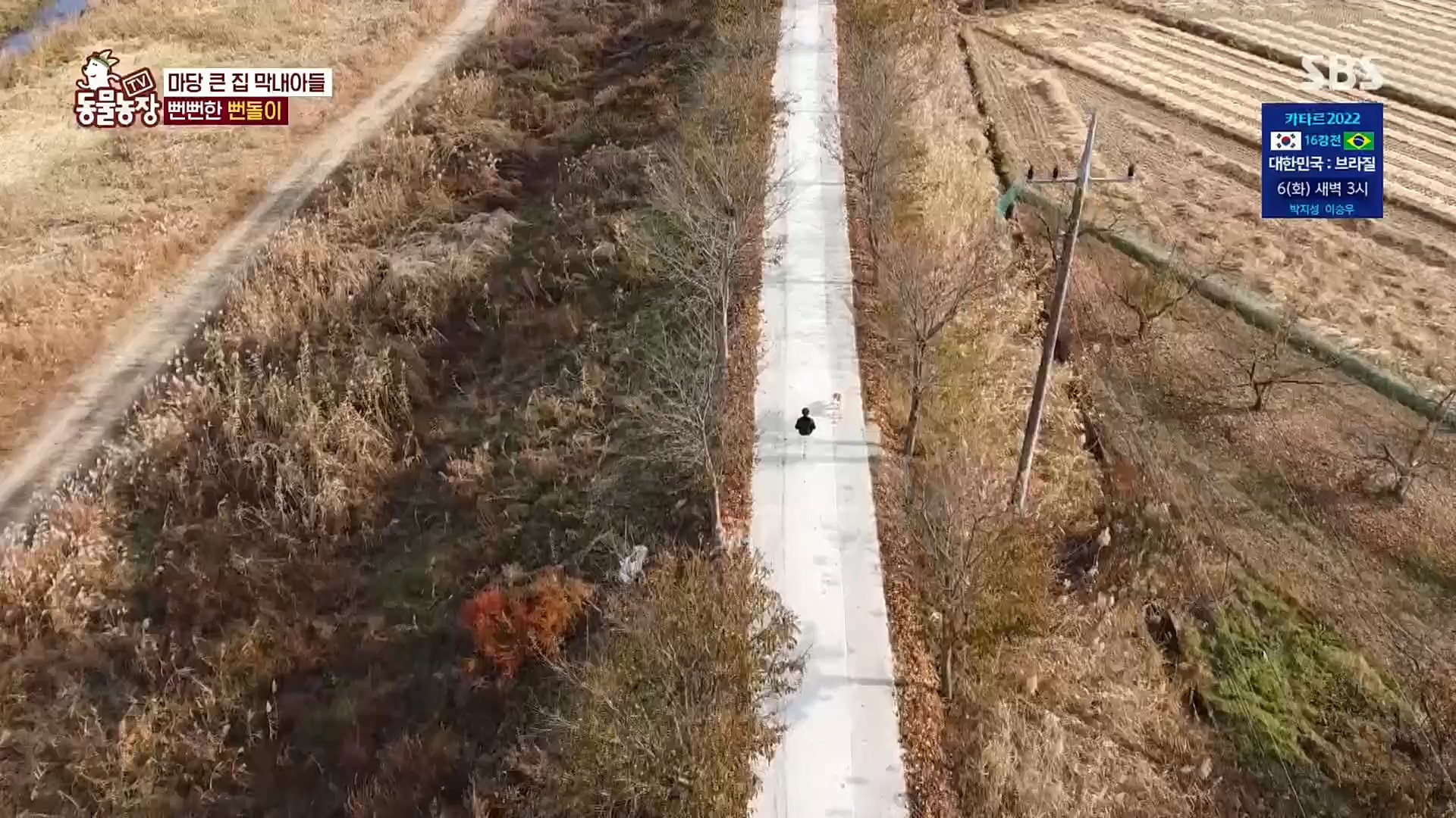 TV 동물농장.E1098.221204p.H264-F1RST.mp4_20221204_175406.012.jpg