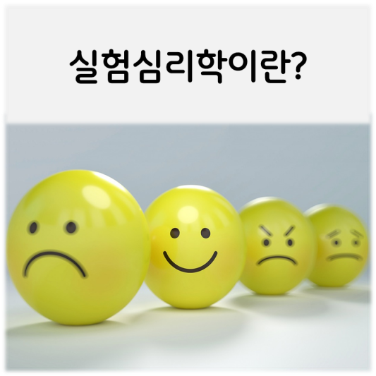  기초심리학-실험 심리학이란?