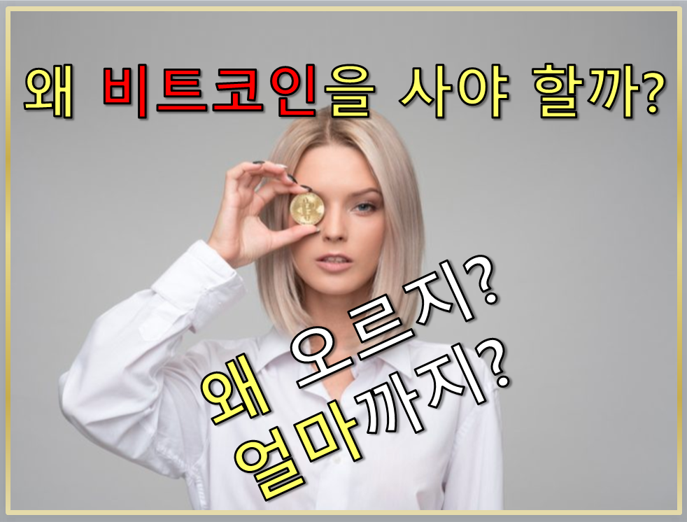  왜 비트코인을 사야 할까? 왜 오르지? 얼마까지?