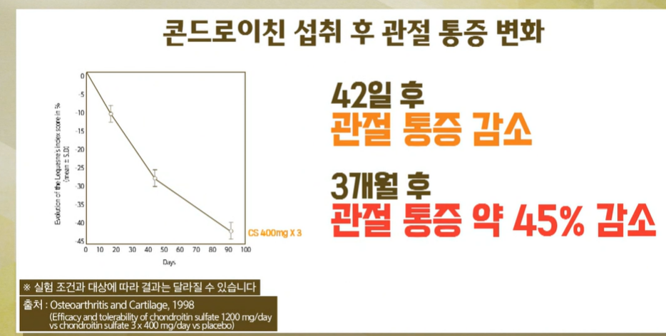 콘드로이친 효능