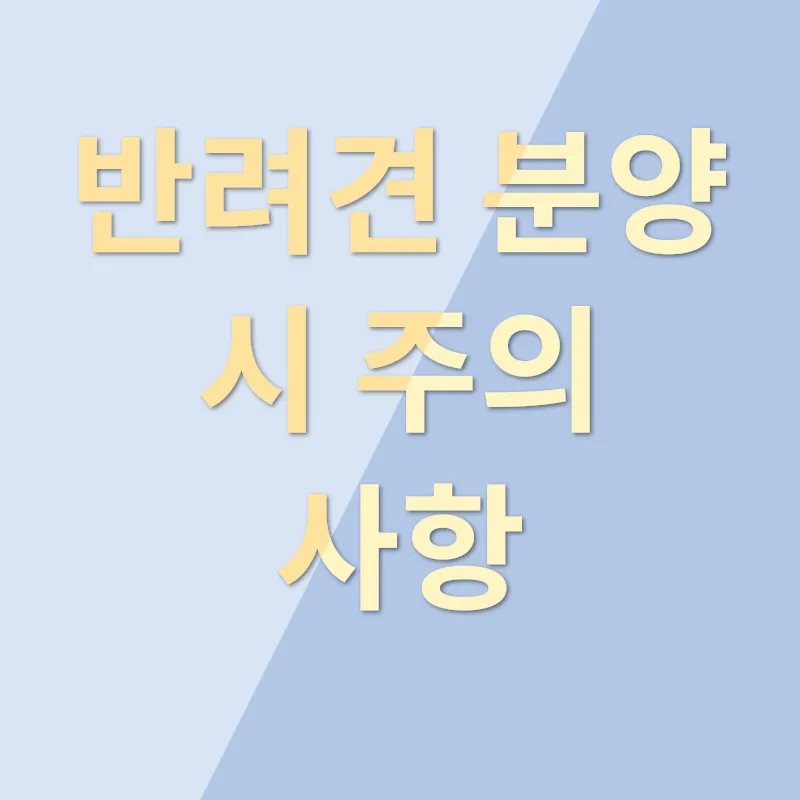 반려견 분양_3