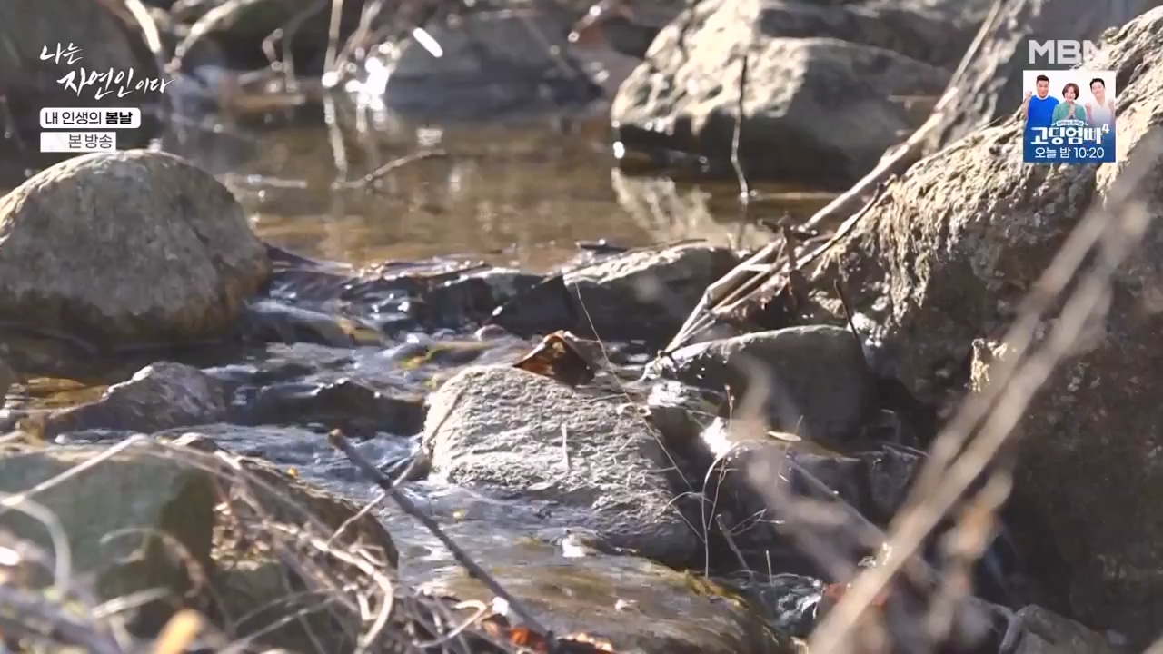 나는 자연인이다.E599.240328p-NEXT.mp4_20240328_195840.748.jpg