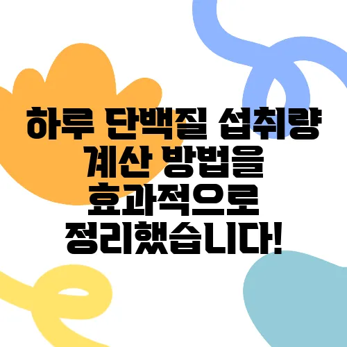 하루 단백질 섭취량 계산 방법을 효과적으로 정리했습니다!