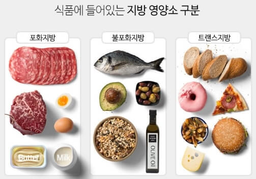  지방과 지방산의 종류, 기능, 그리고 필수 지방산 섭취하는 방법과 주의할 점