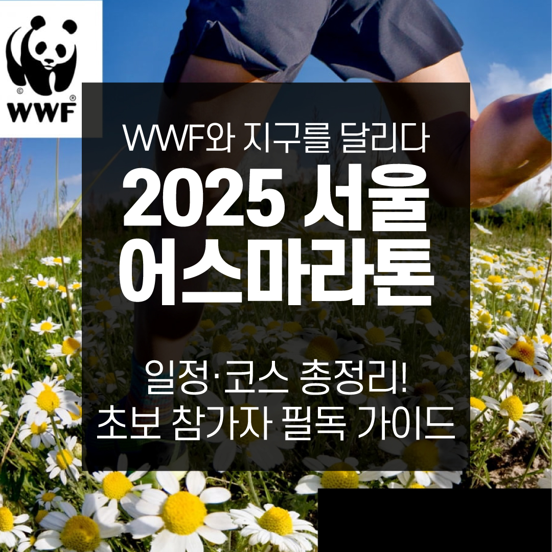 2025서울어스마라톤 일정·코스 총정리!초보 참가자 필독 가이드