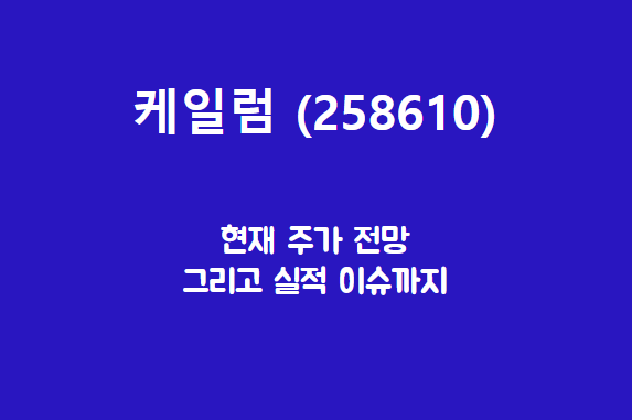 케일럼 (258610) 주가, 실적, 전망, 기업분석