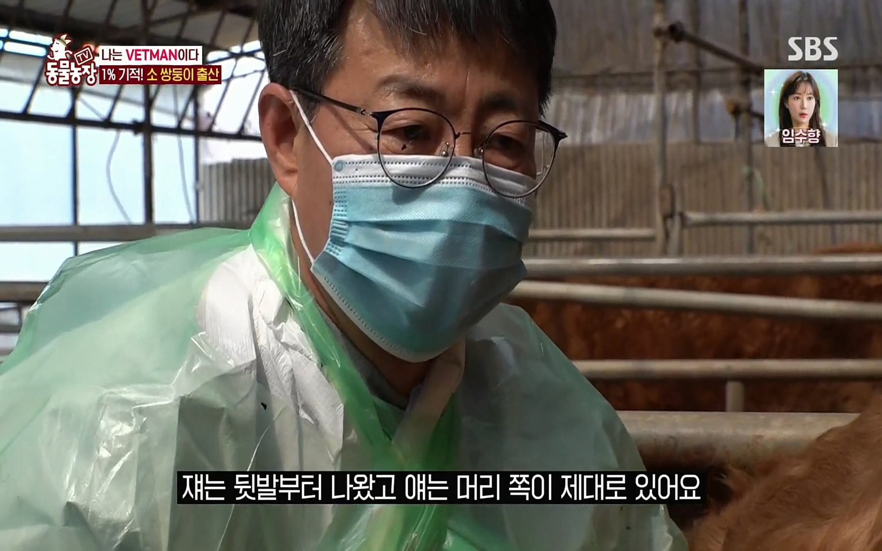 TV 동물농장.E1069.220515p.H264-F1RST.mp4_20220515_180136.062.jpg