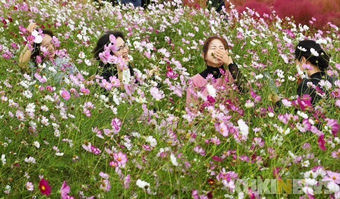 인해농원 이미지