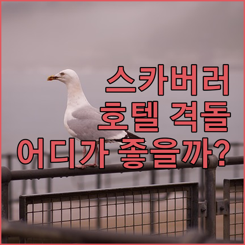 더 그랜드 스카버러 vs 로열 호텔 