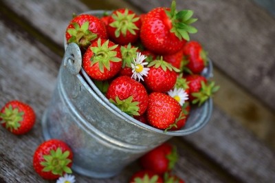통에 담긴 딸기