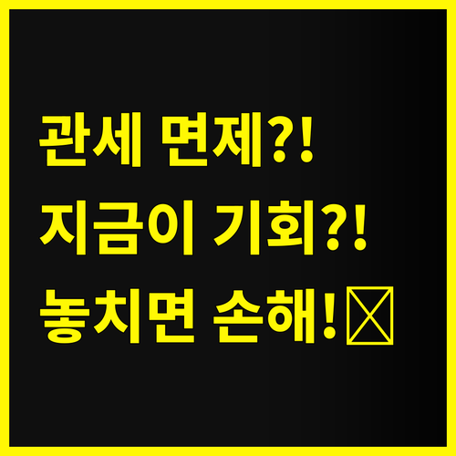 전자제품 관세 면제?!😲 지금이 쇼핑