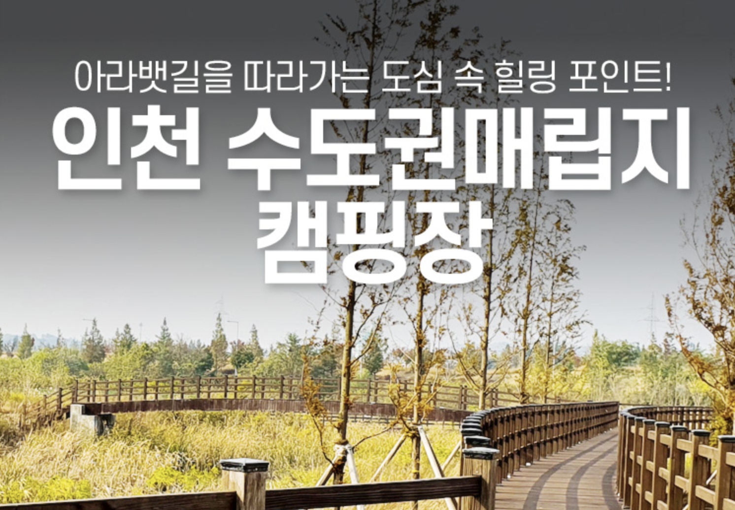  인천 수도권매립지 캠핑장 예약정보(2022년 5월, 6월 예약정보)