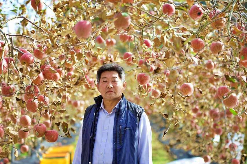  생방송 오늘저녁 삼시세끼 거창 해발 650 고랭지사과 다이어트 풋사과즙 주문 택배 정보 위치