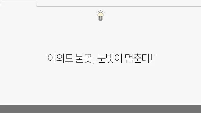 여의도에서의 제전, 한강 불꽃축제의 모든 것