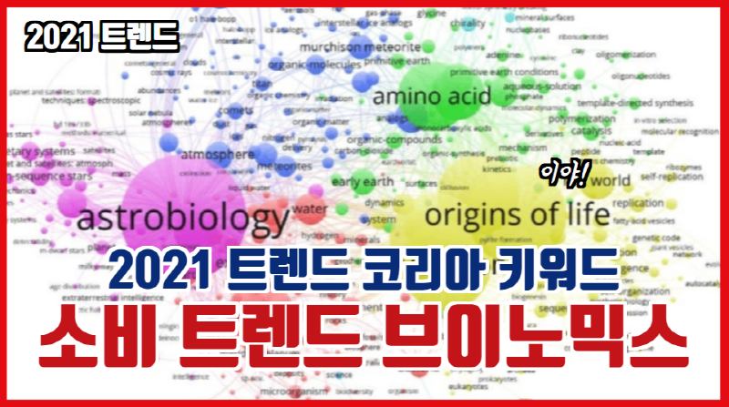  2021 트렌드 코리아 키워드 소비 트렌드 브이노믹스