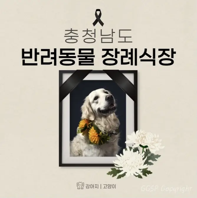  충남 반려동물 장례식장 고양이 강아지 장례 화장 업체 4곳
