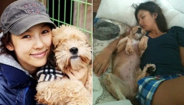  이효리 반려견 순심이 무지개다리 건너갔다 안성평강보호소