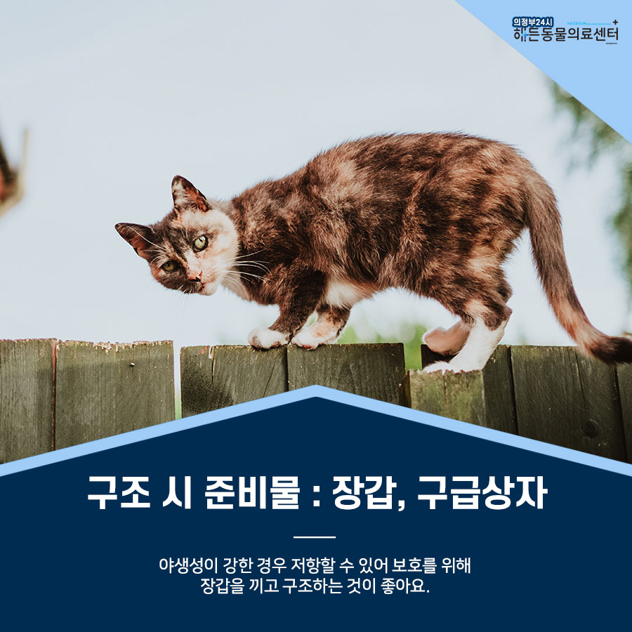 간택 , 구조는 어리다면 조심해야 해요! 5