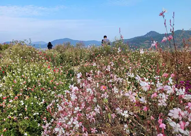 애도
