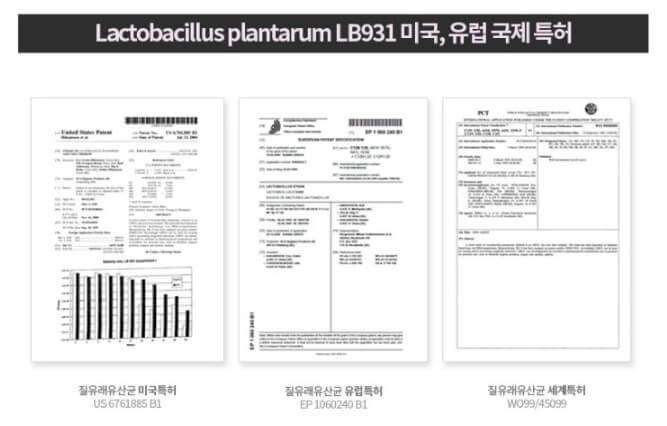 미국.유럽 특허