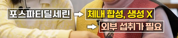 뇌 건강에 좋은 포스파티딜세린