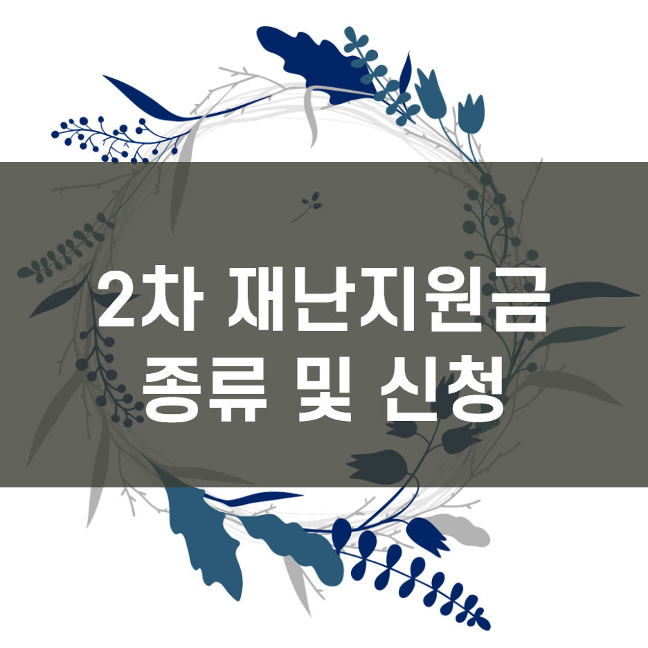  2차 재난지원금 신청 및 종류