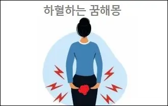 하혈하는 꿈해몽