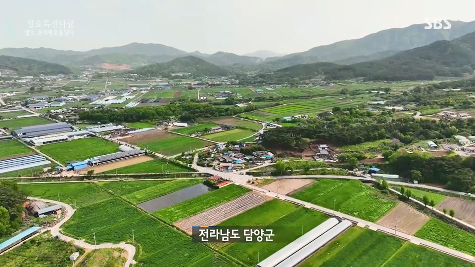 일요 특선 다큐멘터리.E314.230702p.H264-F1RST.mp4_20230708_212149.102.jpg
