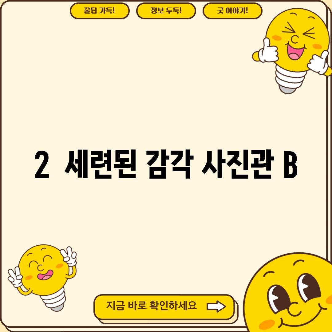 2.  세련된 감각, [사진관 B]