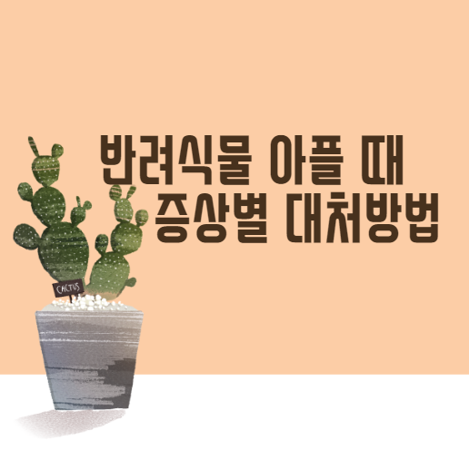  반려식물 아플 때 증상별 대처방법