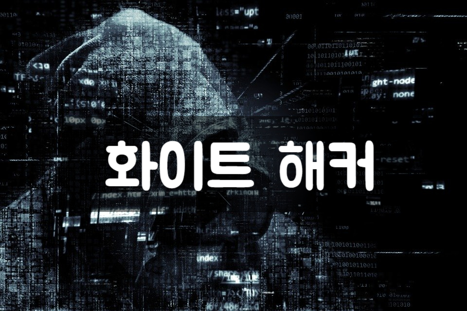  화이트해커 § 연봉이 수십억?! 이 교육 과정 들으면 너도 하지!