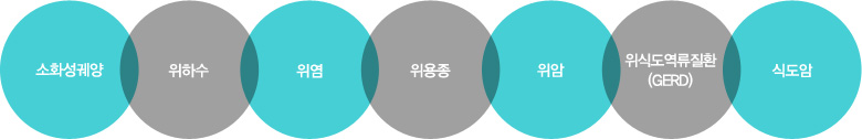  위장 질환의 종류